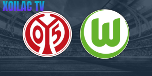 Nhận định Mainz 05 – Wolfsburg vào lúc 21:30 ngày 24/01