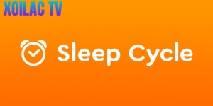 Sleep Cycle là gì và ảnh hưởng tới hiệu suất