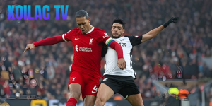 Nhận Định Liverpool – Fulham Vào Lúc 23:30 Ngày 11/04